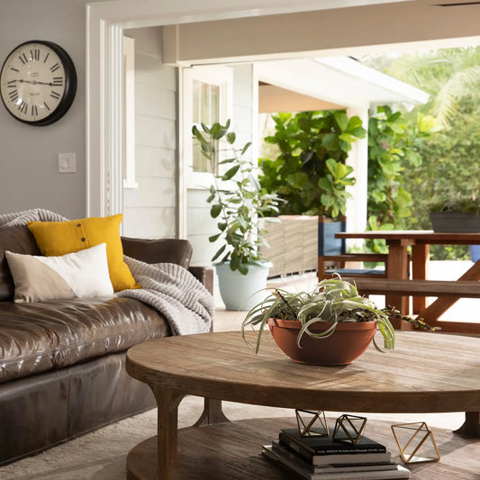 14" Terra Bowl Planter | Indoor & Outdoor