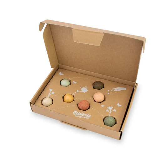 Dear Teacher Package | 7 Seed Bomb Balls