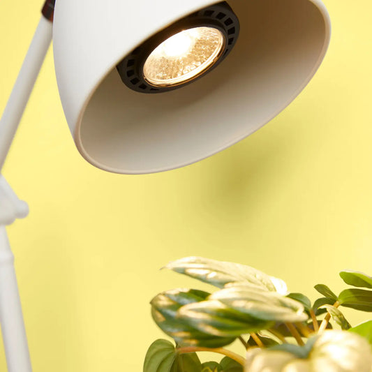 Instant Sun Grow Bulb