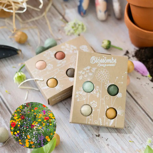 Flowers For You | Seed Bomb Balls