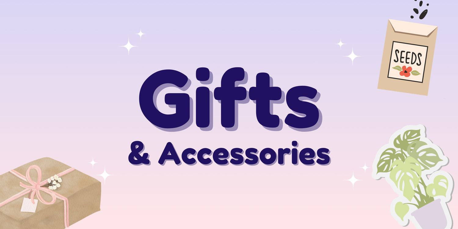 🎁 Gifts & Fun
