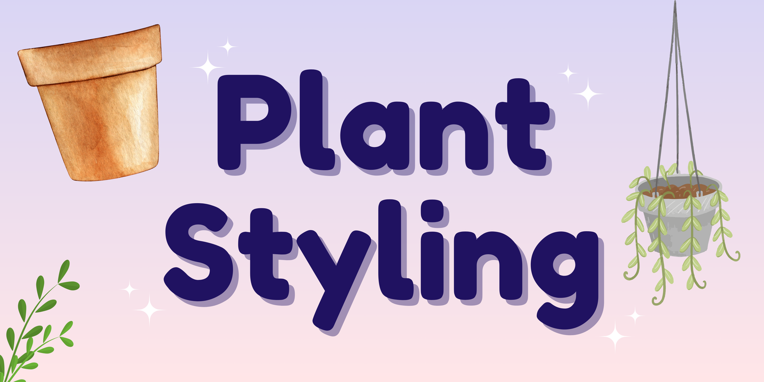 Plant Styling Essentials