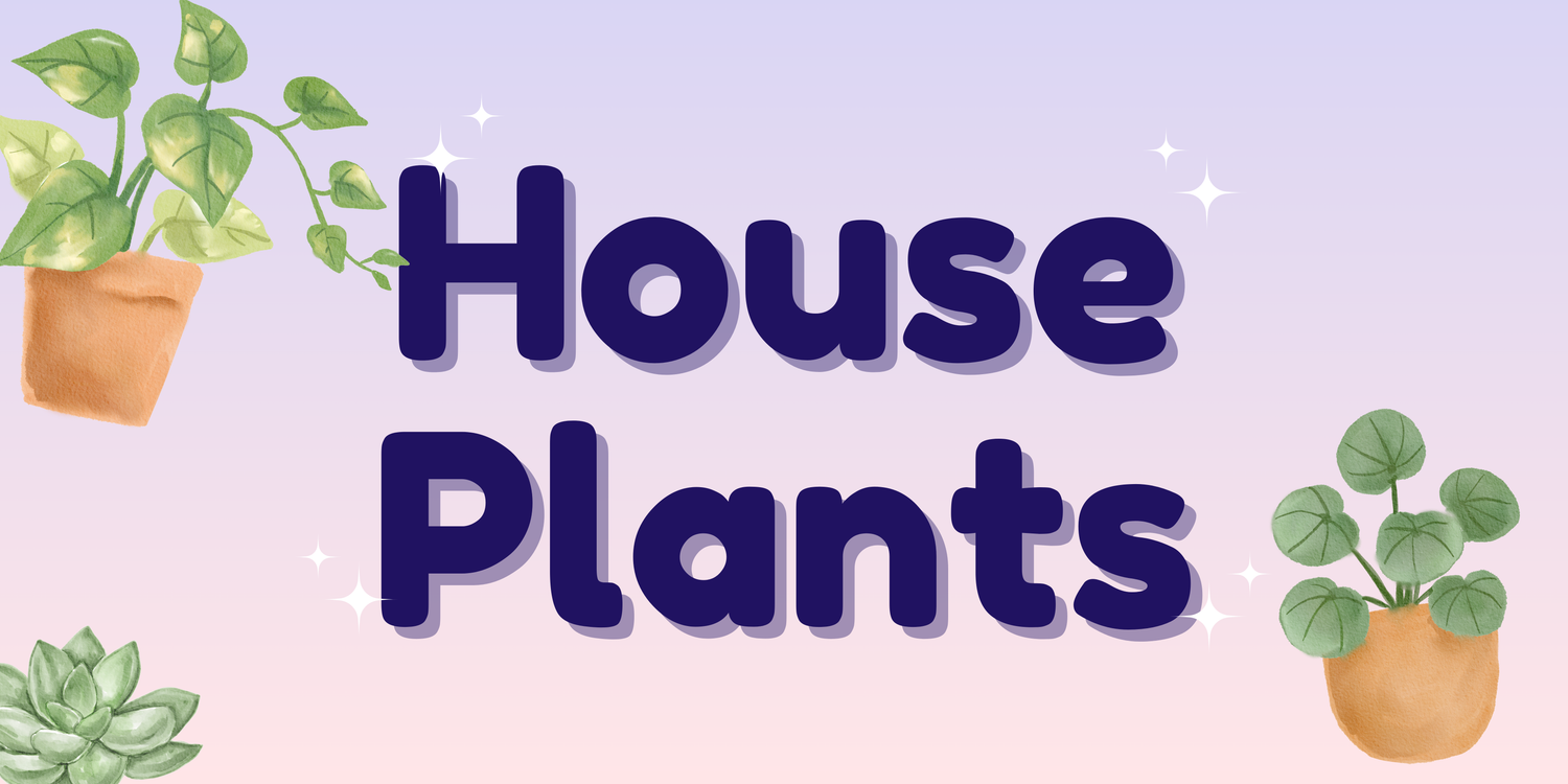 🌱 Shop Plants