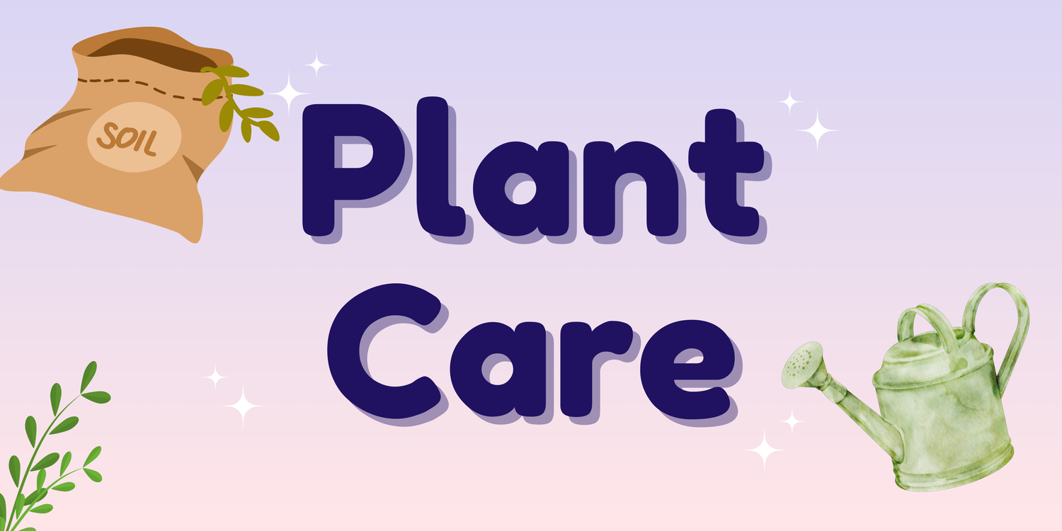 Plant Care