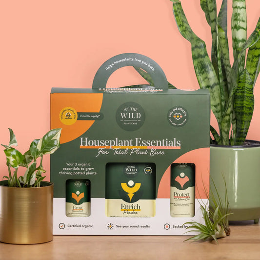 Houseplant Care Tester Kit