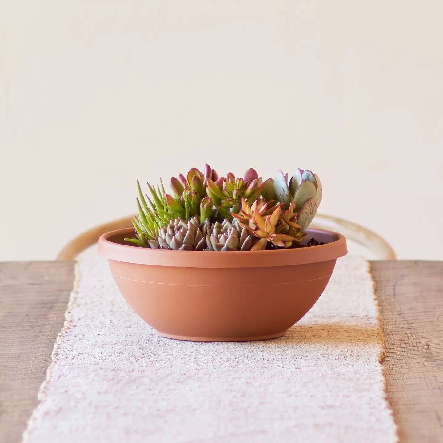14" Terra Bowl Planter | Indoor & Outdoor