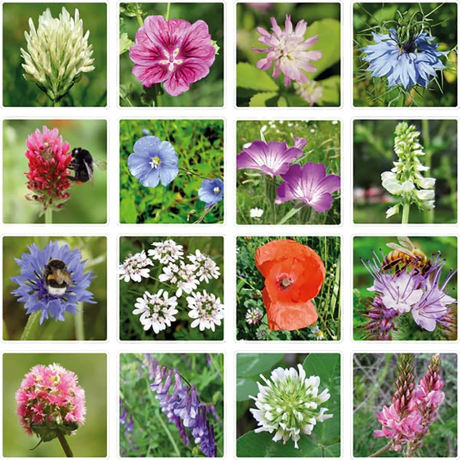 Flowers For You | Seed Bomb Balls
