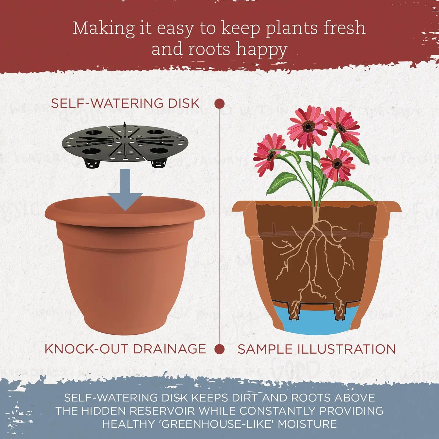 SproutMate Self-Water Pot – 6.5”