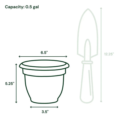 SproutMate Self-Water Pot – 6.5”
