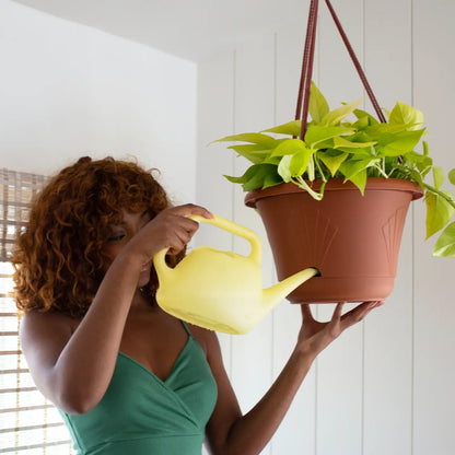 13" Lucca Hanging Basket with Reservoir