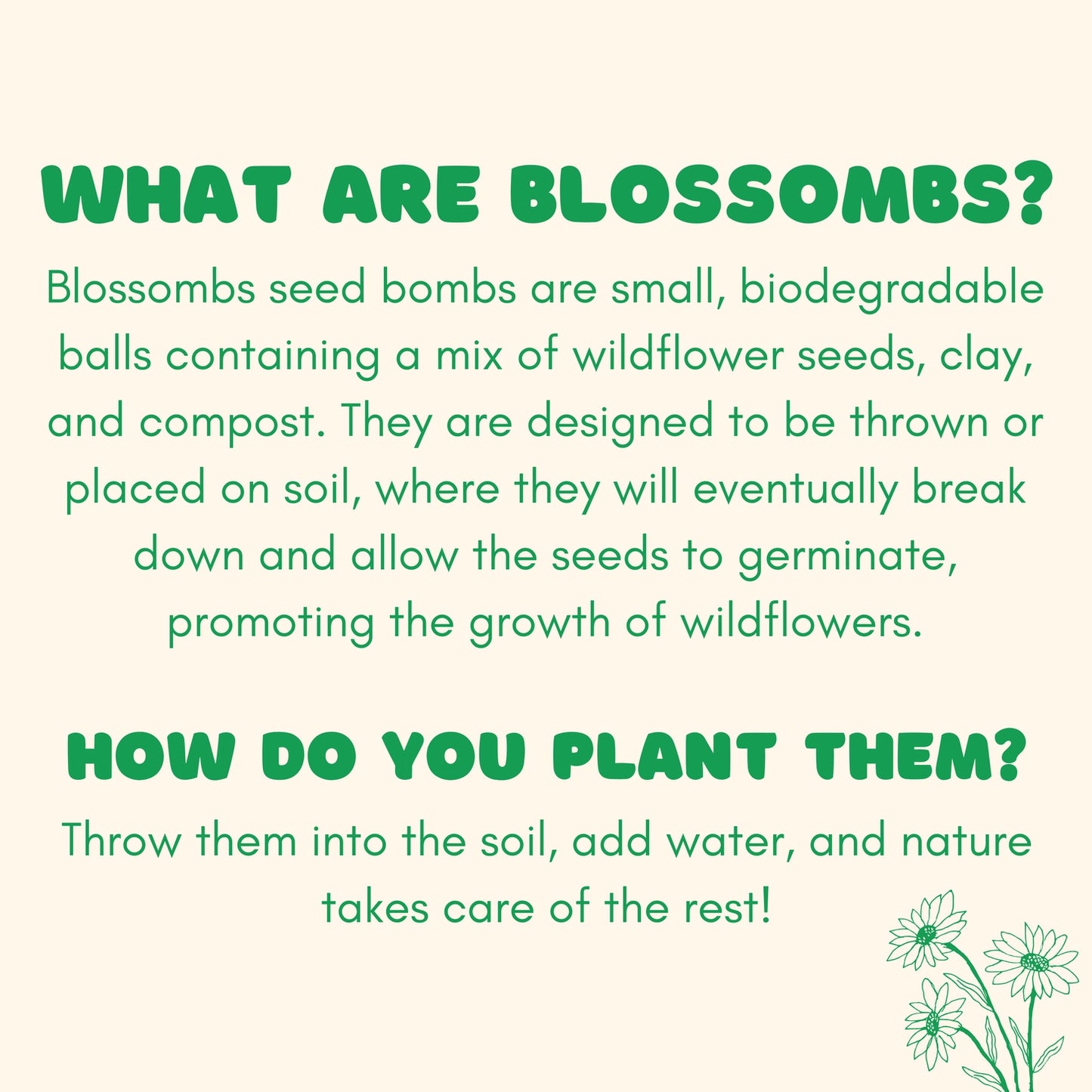 Flowers For You | Seed Bomb Balls