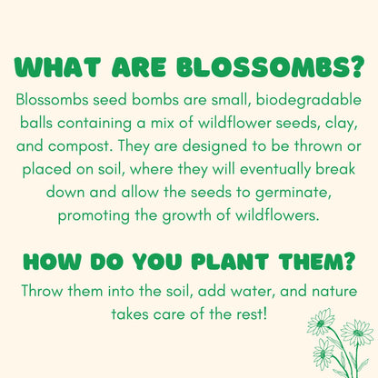 Flowers For You | Seed Bomb Balls