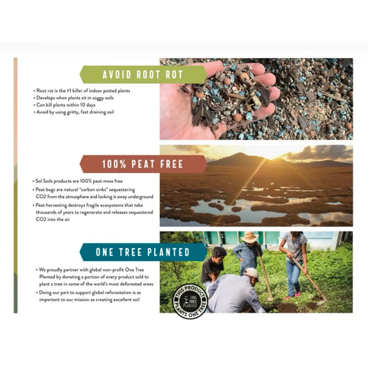 Plant Parent Chunky Houseplant Blend