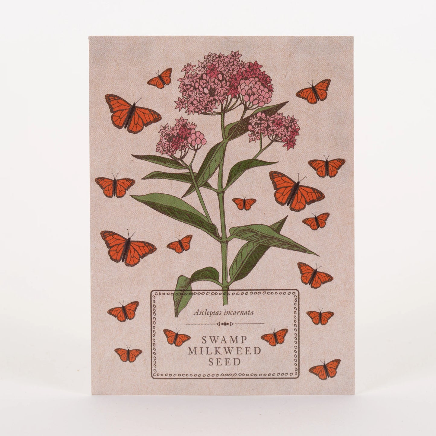 Swamp Milkweed For Butterflies Seed Packets