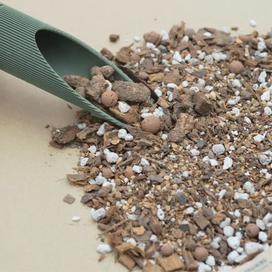 Plant Parent Chunky Houseplant Blend