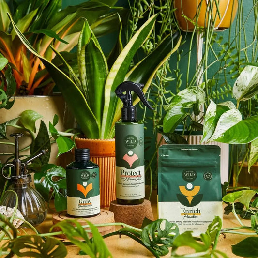 Houseplant Care Tester Kit