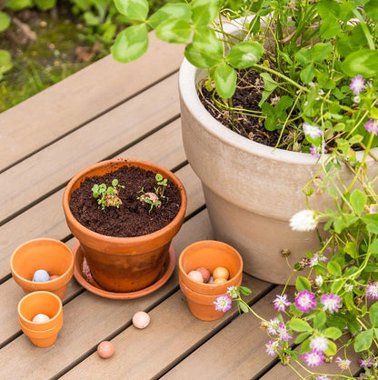 Flowers For You | Seed Bomb Balls