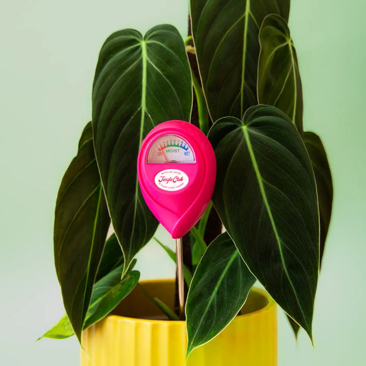 Soil Moisture Meter | Hibiscus
